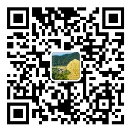 大奖网app